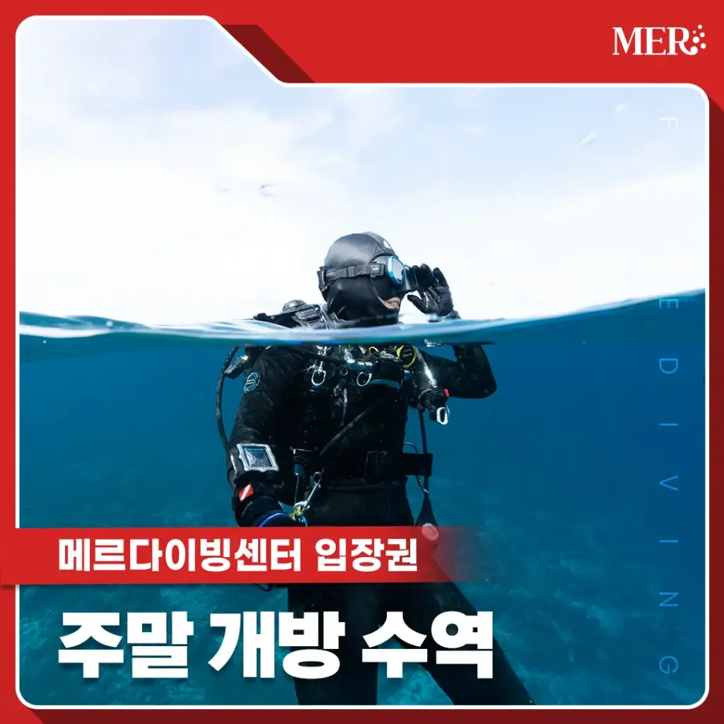 주말 개방 수역 입장권