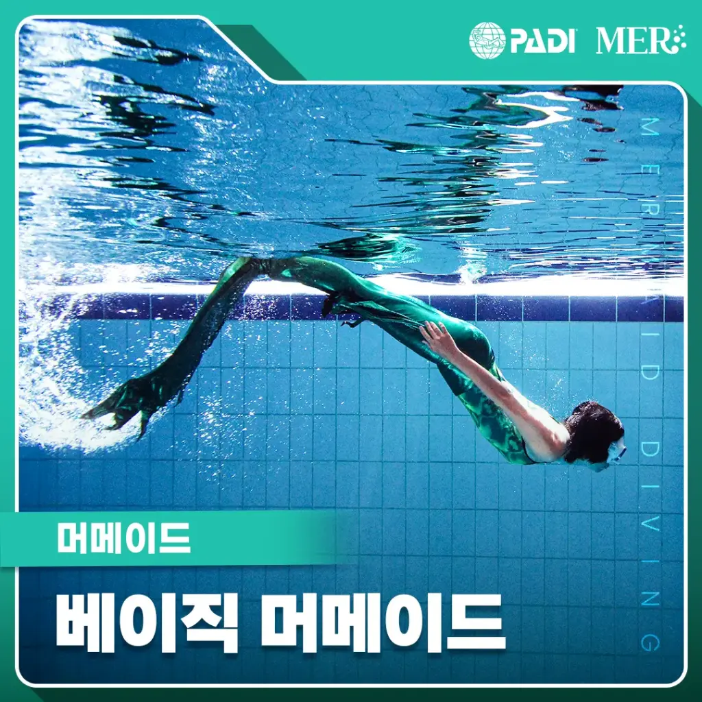 머메이드 다이빙 베이직 머메이드