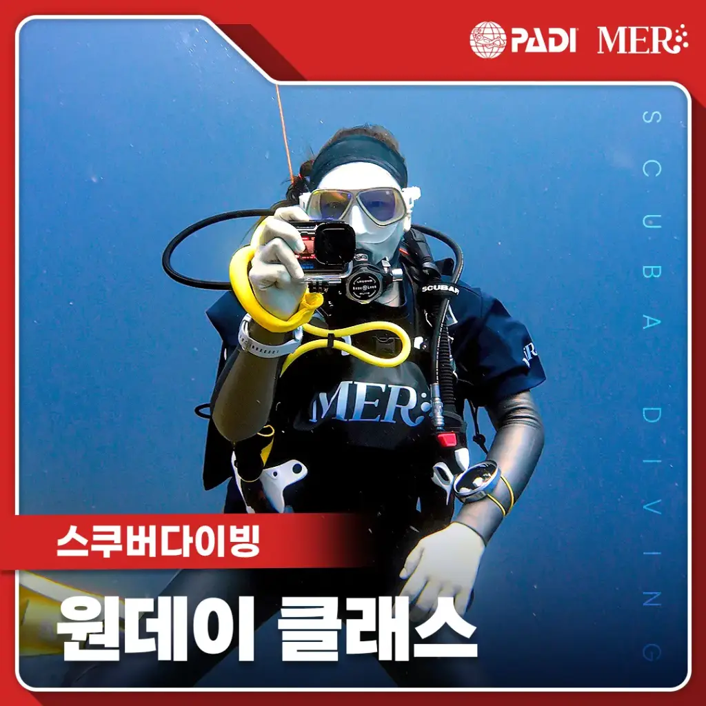 스쿠버 다이빙 체험 다이빙