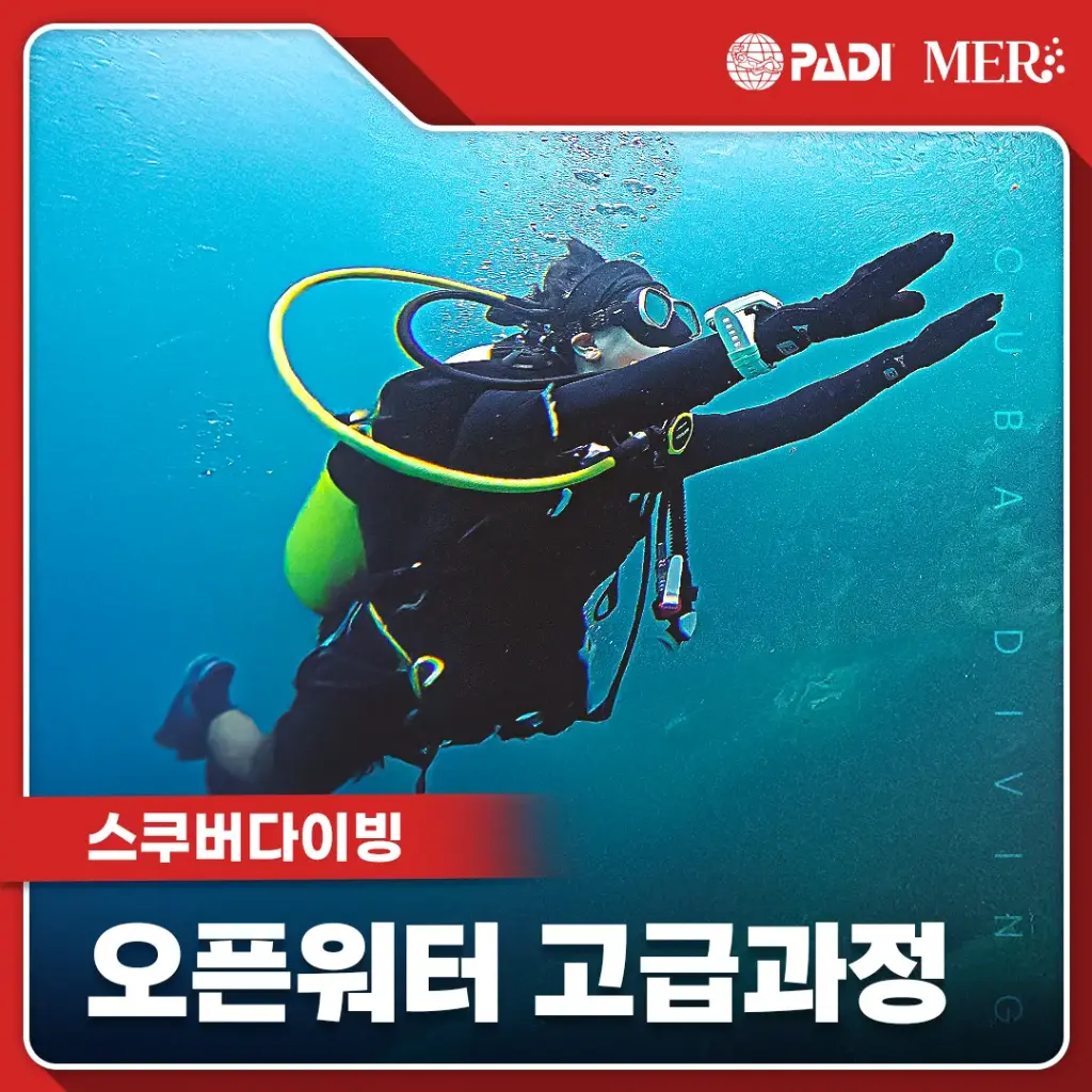 오픈워터 집중케어