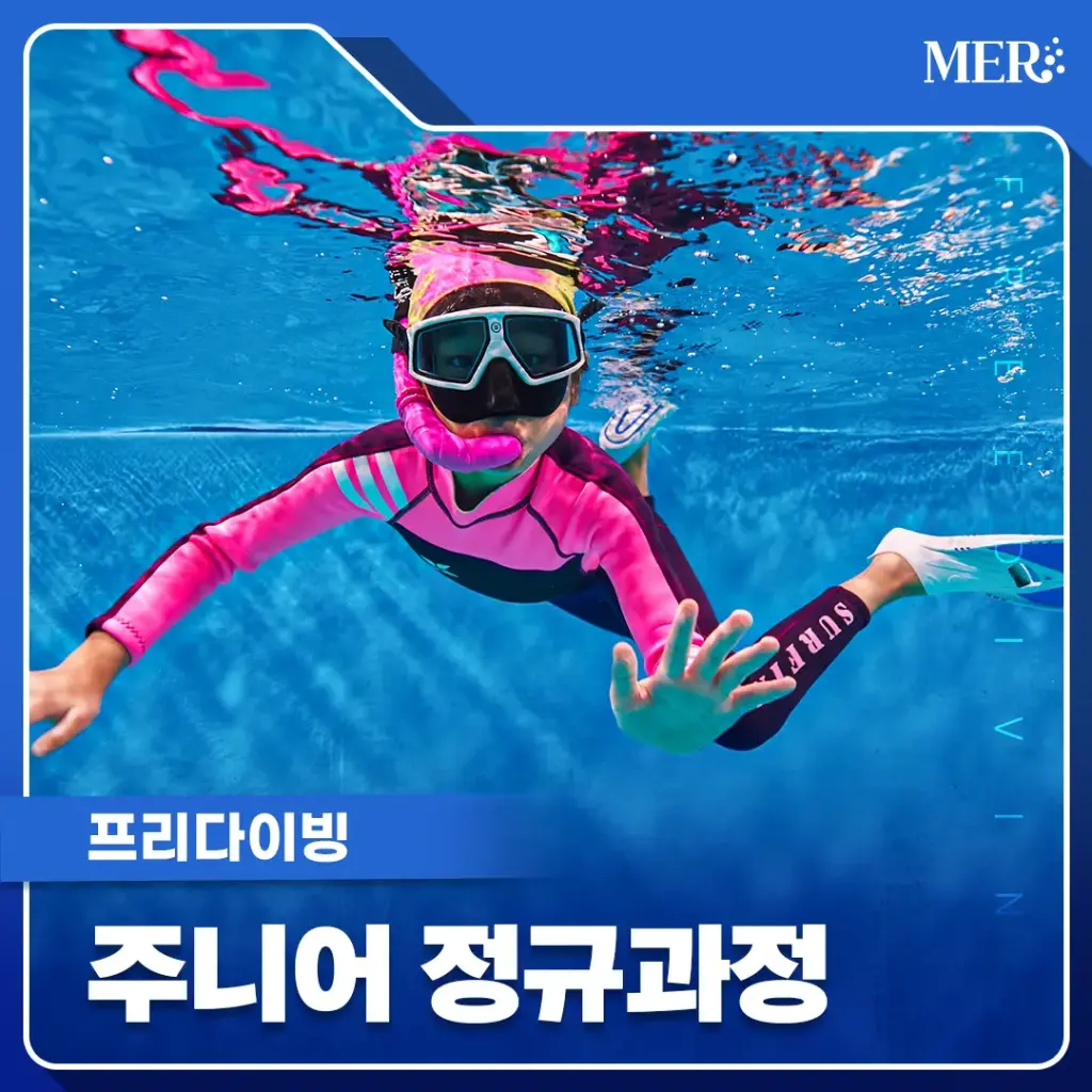 주니어 정규과정