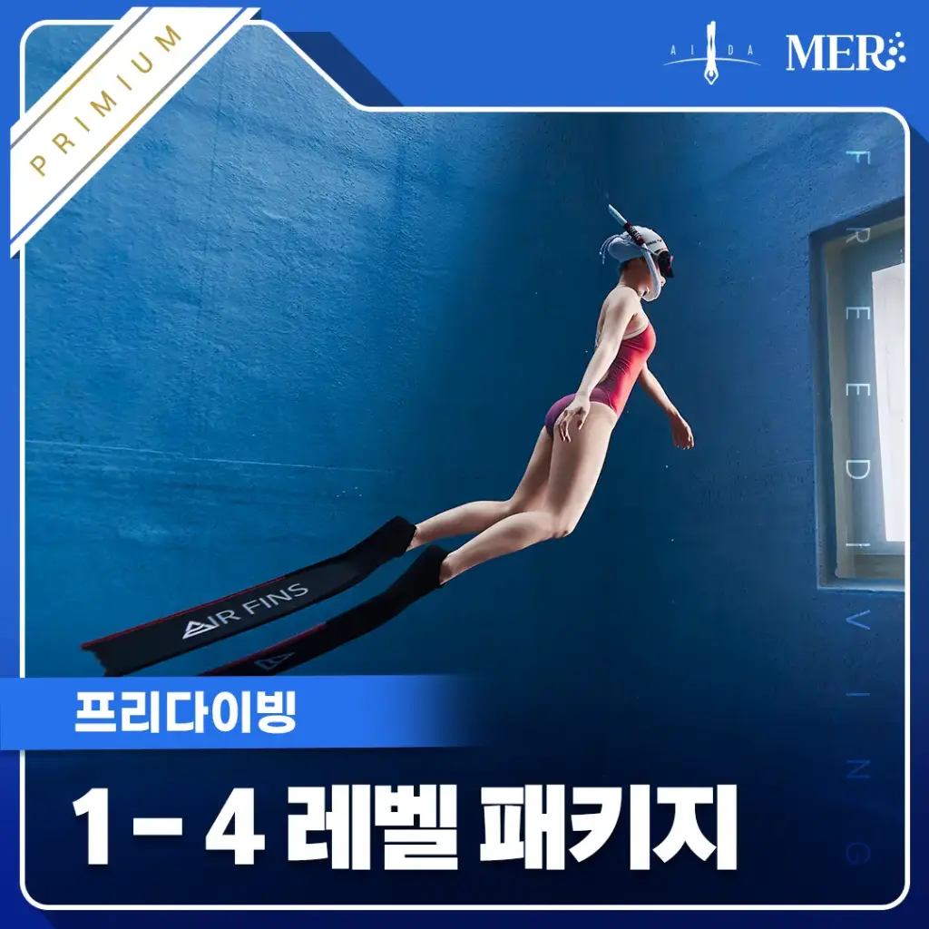 프리다이빙 1-4레벨 (프리미엄)