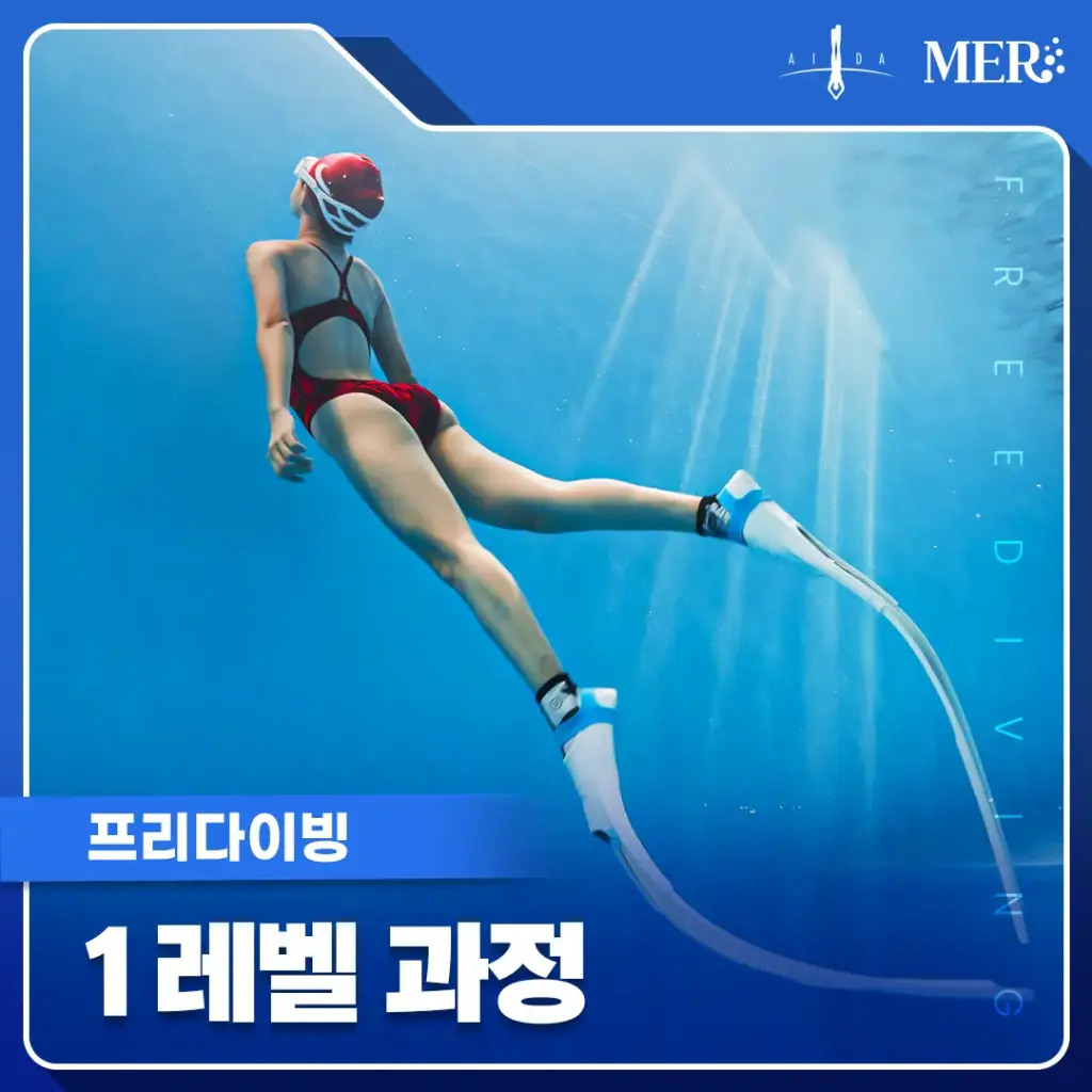프리다이빙 1레벨