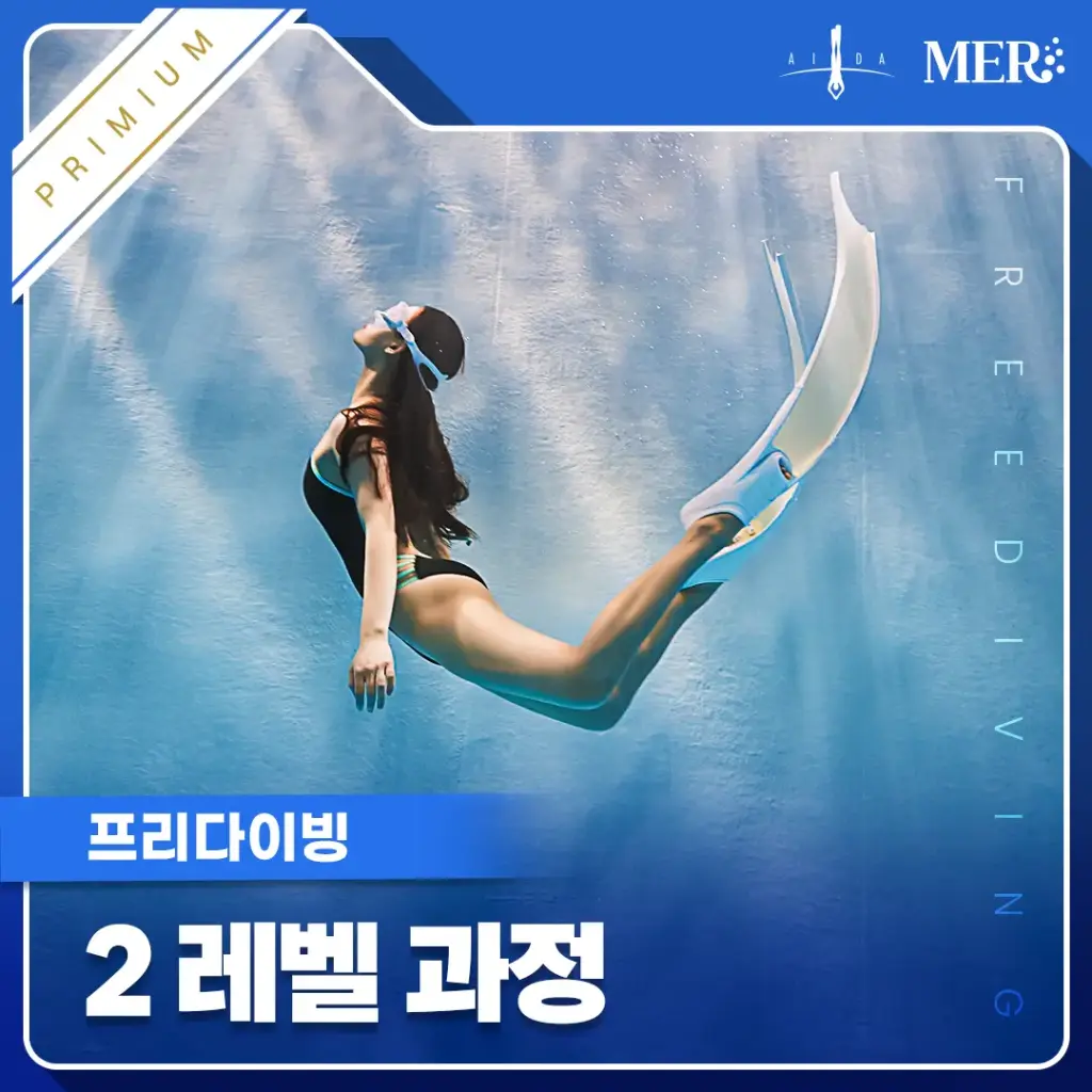 프리다이빙 2레벨 (프리미엄)