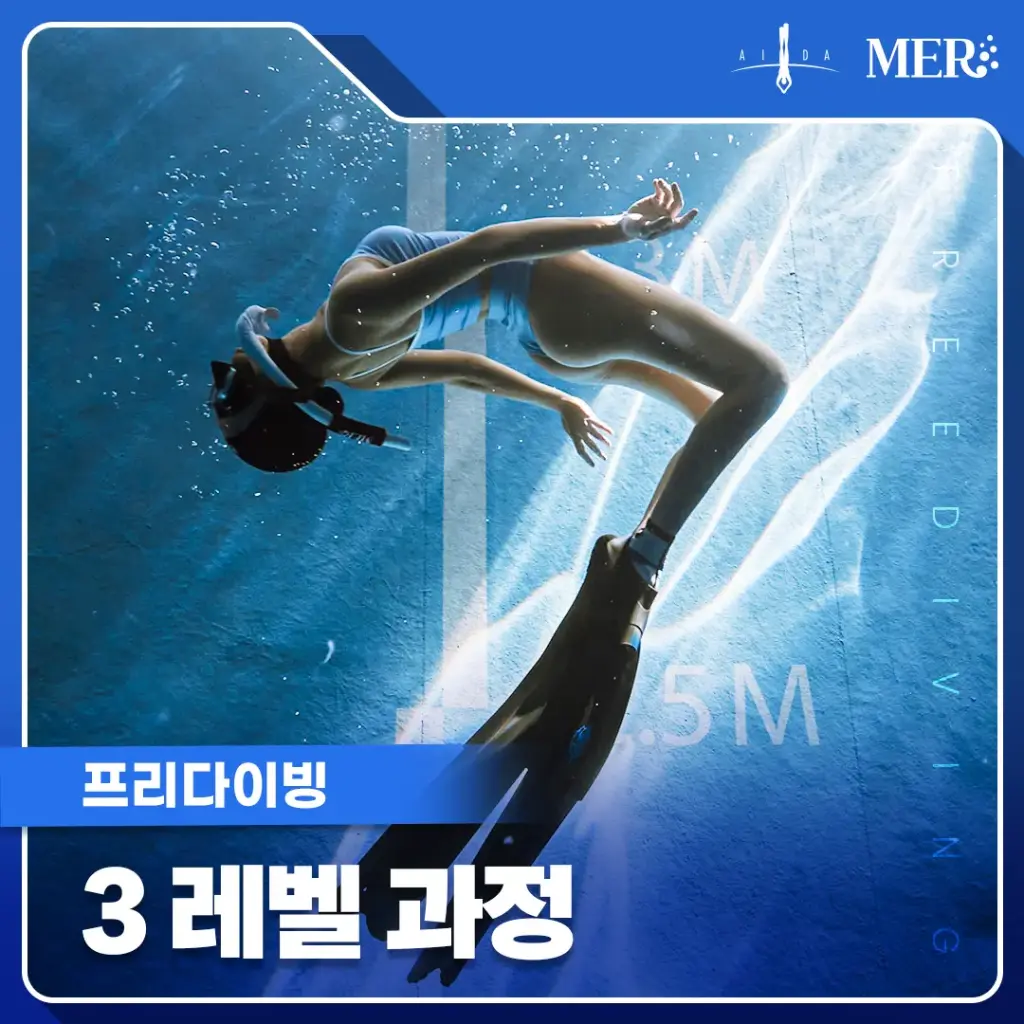 프리다이빙 3레벨