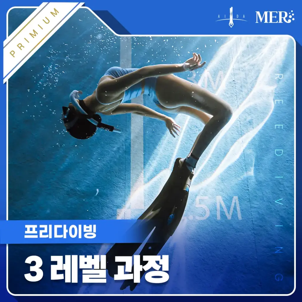 프리다이빙 3레벨 (프리미엄)