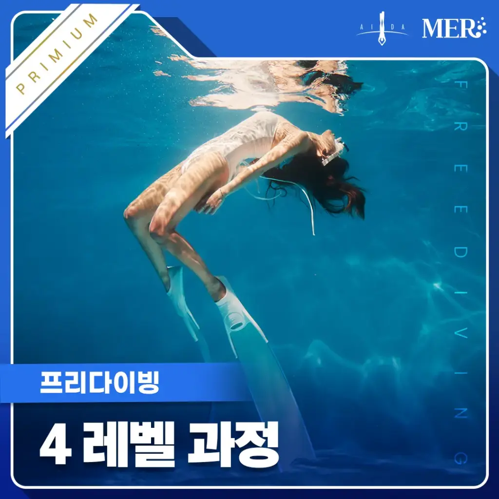 프리다이빙 4레벨 (프리미엄)