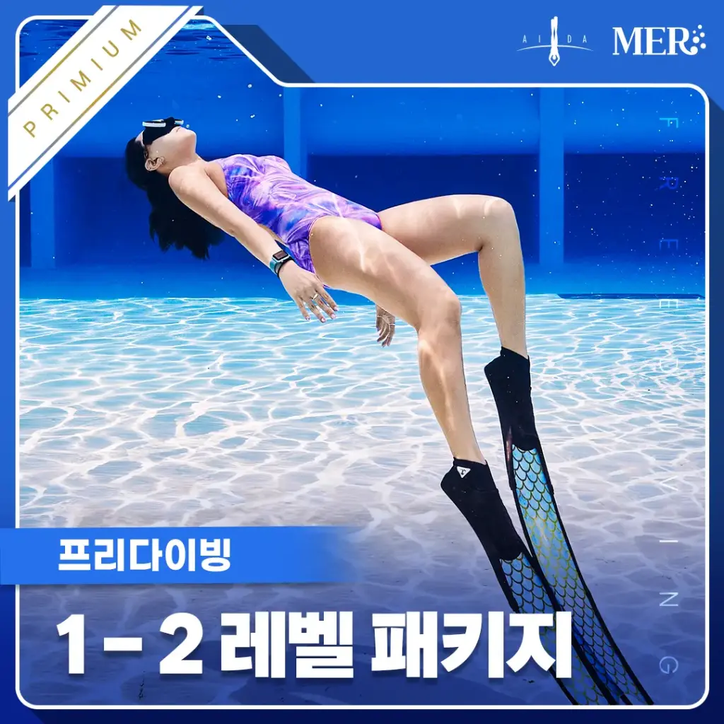 프리다이빙 1-2레벨 전환