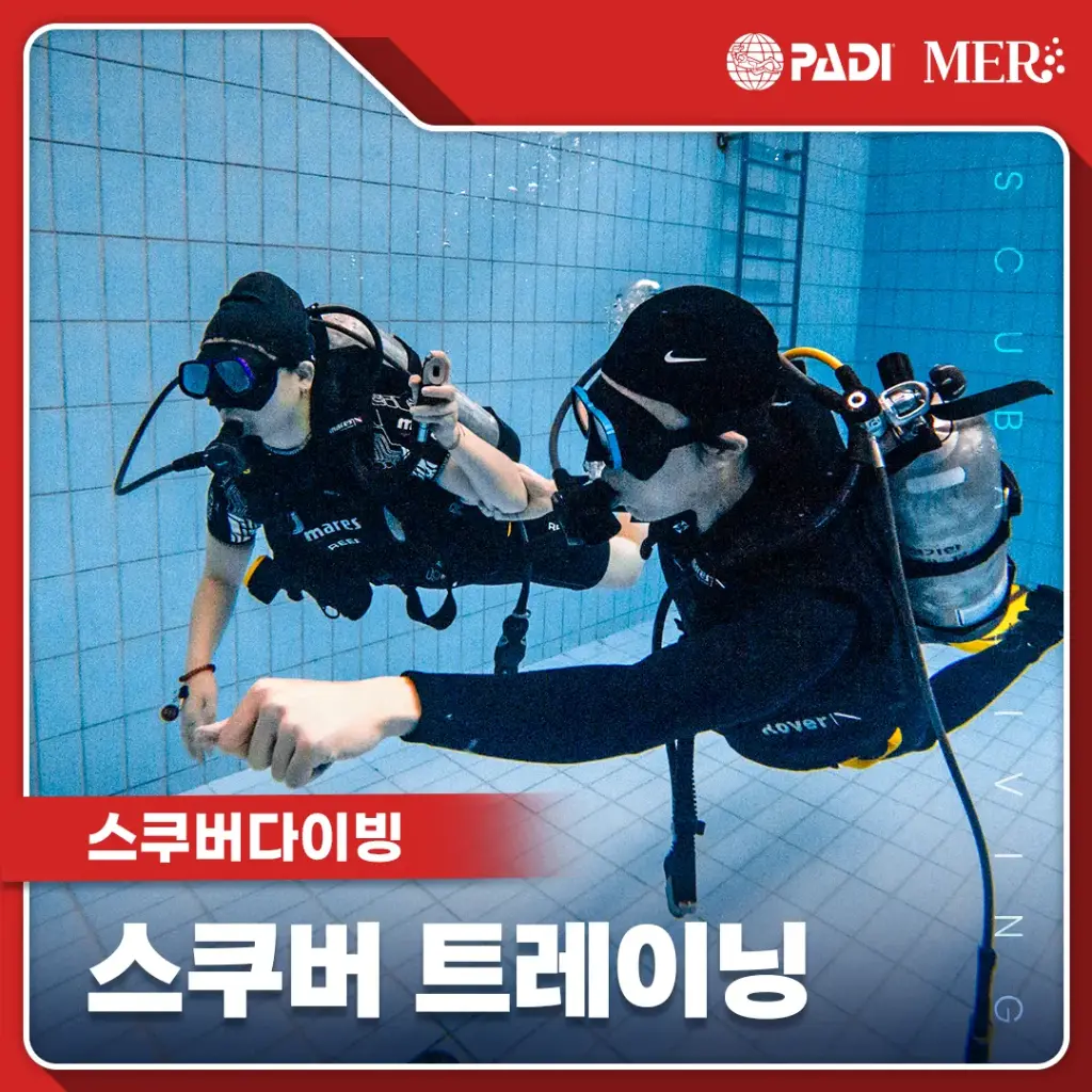 스쿠버 트레이닝 (주말) 1회