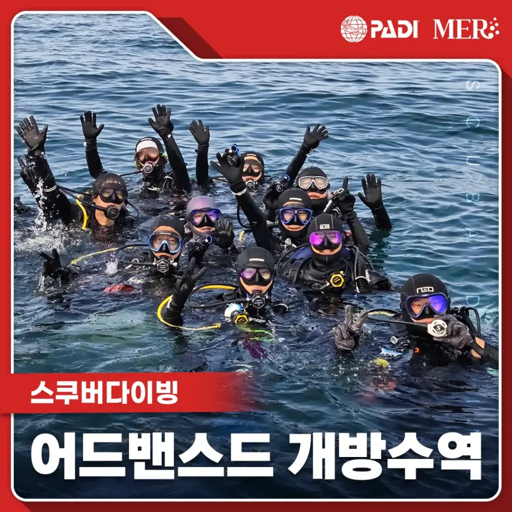 어드밴스드 개방수역 (고성)