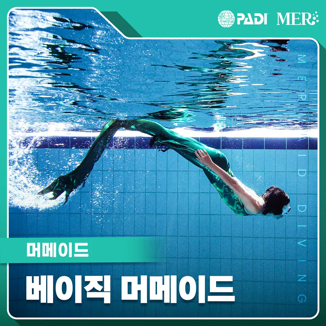 머메이드 다이빙 베이직 머메이드