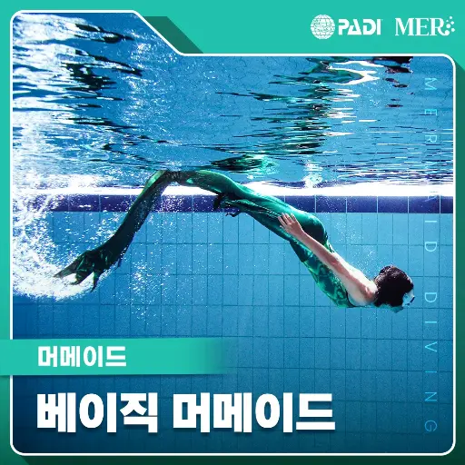 머메이드 다이빙 베이직 머메이드
