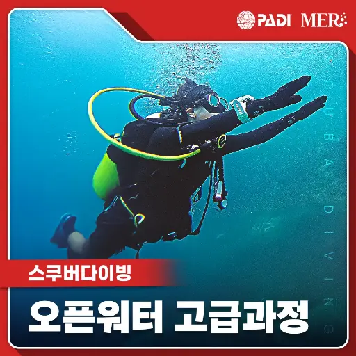오픈워터 집중케어