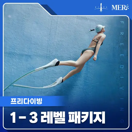 프리다이빙 1-3레벨