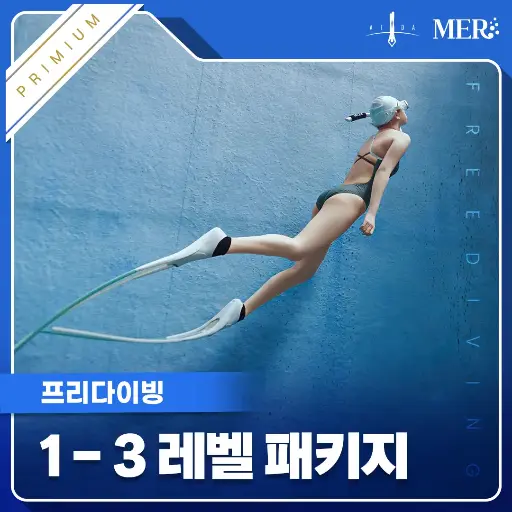 프리다이빙 1-3레벨 (프리미엄)