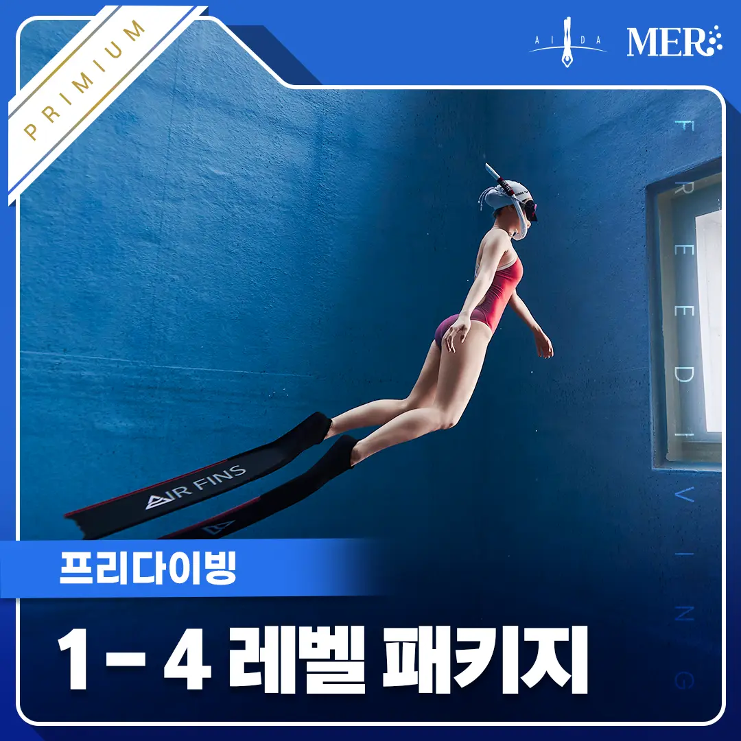 프리다이빙 1-4레벨 (프리미엄)