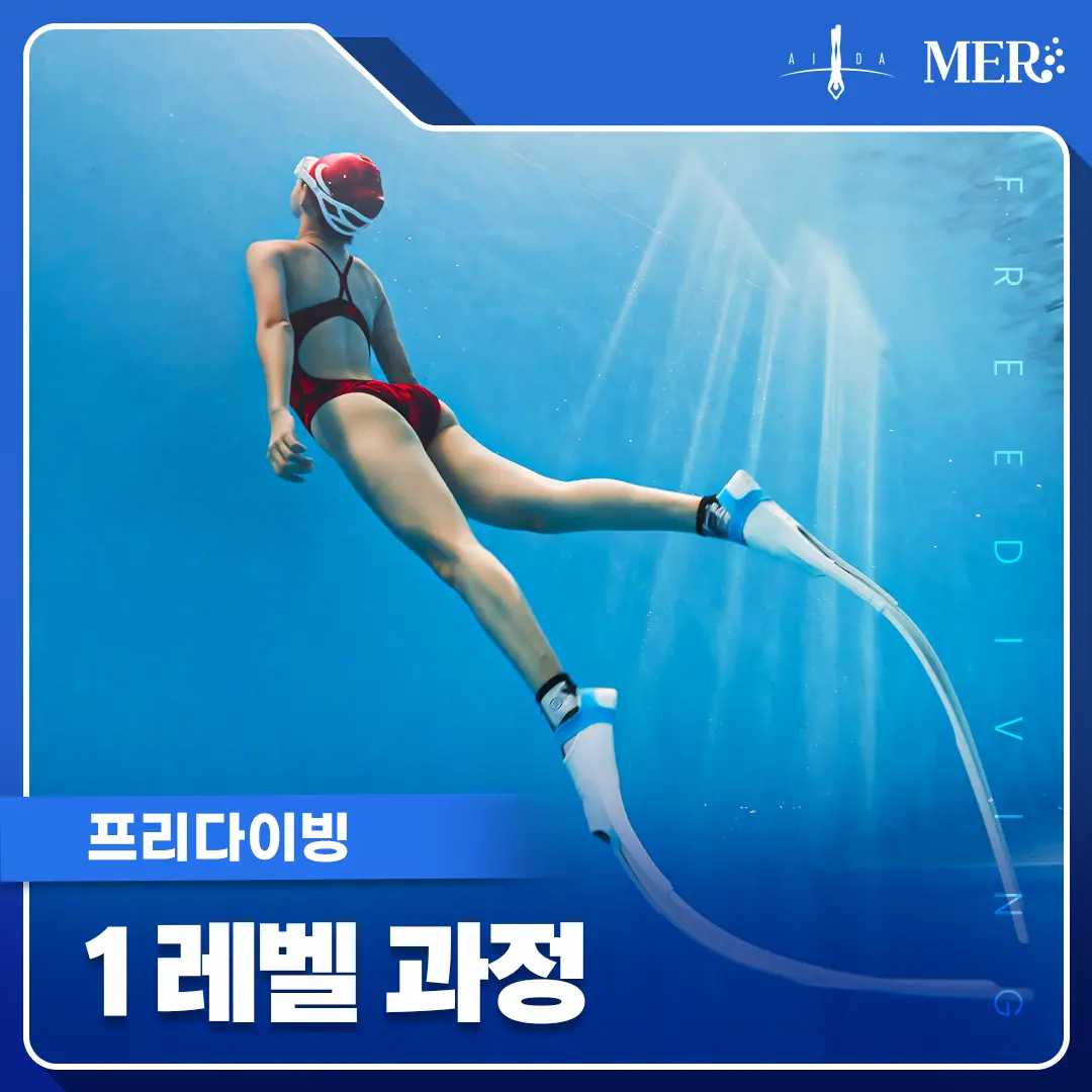 프리다이빙 1레벨