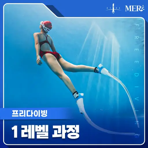 프리다이빙 1레벨