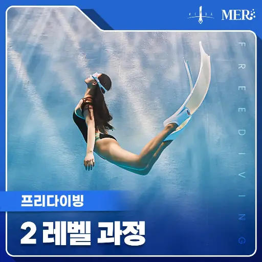 프리다이빙 2레벨