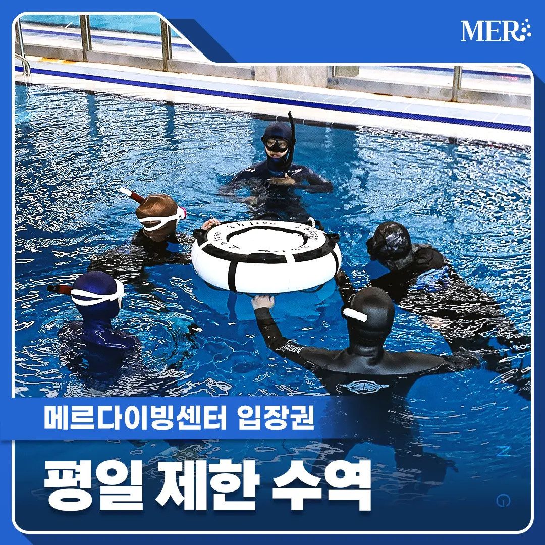 평일 제한 수역 입장권