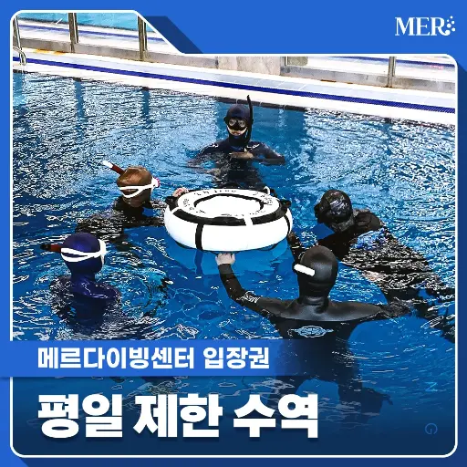 평일 [제한] 수역 입장권